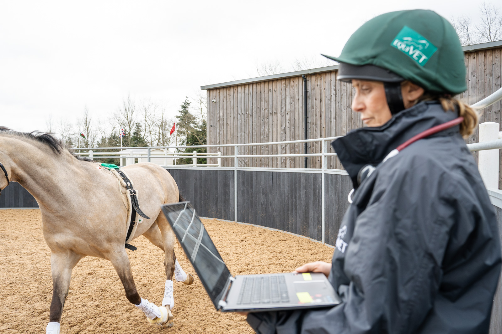 Equine Cardiology
