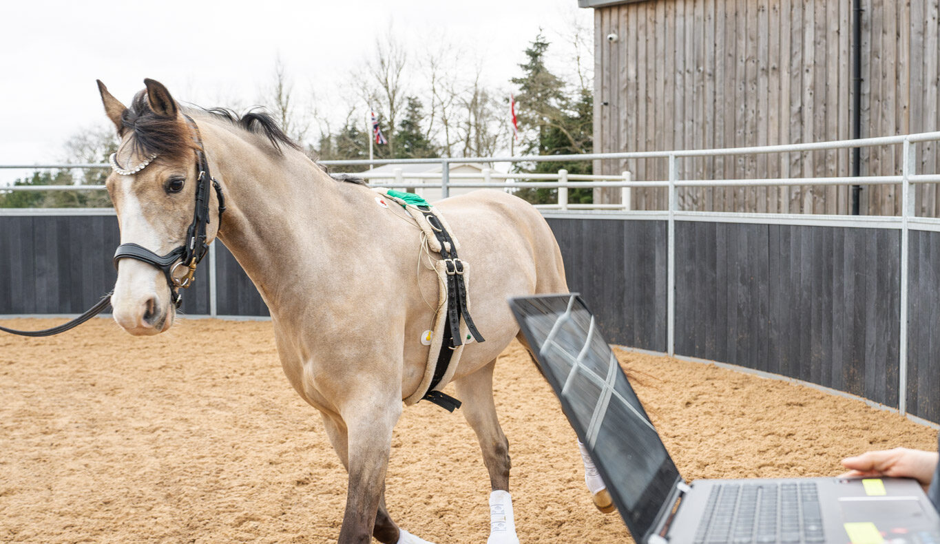 EquiVet (Web) 066_edited