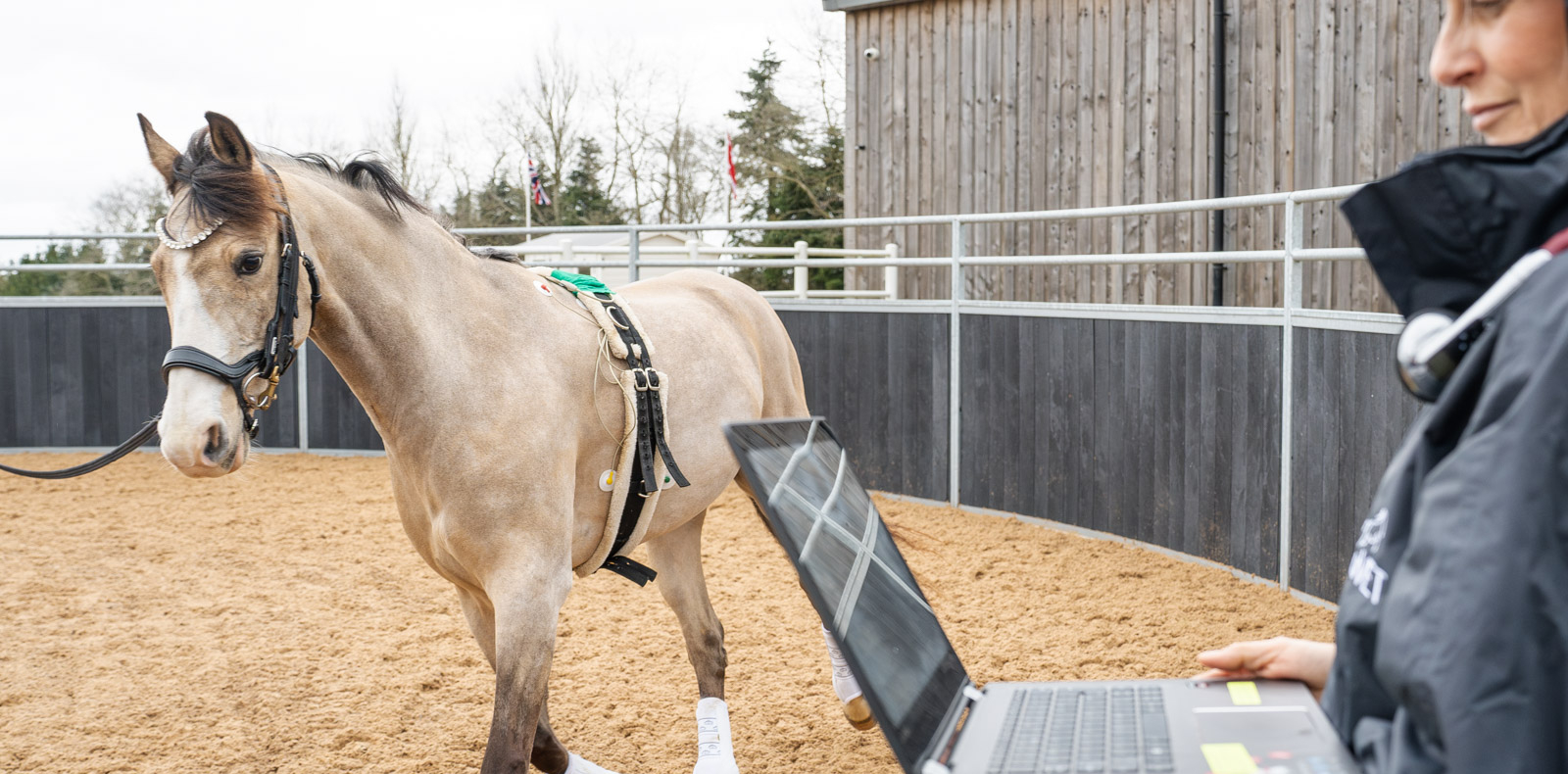 EquiVet (Web) 066_edited