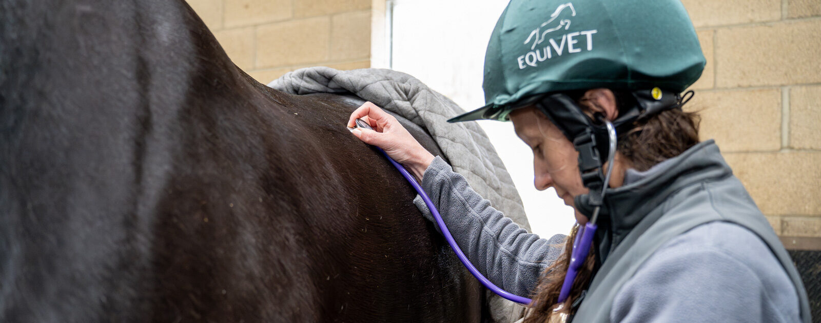 EquiVet (Web) 116