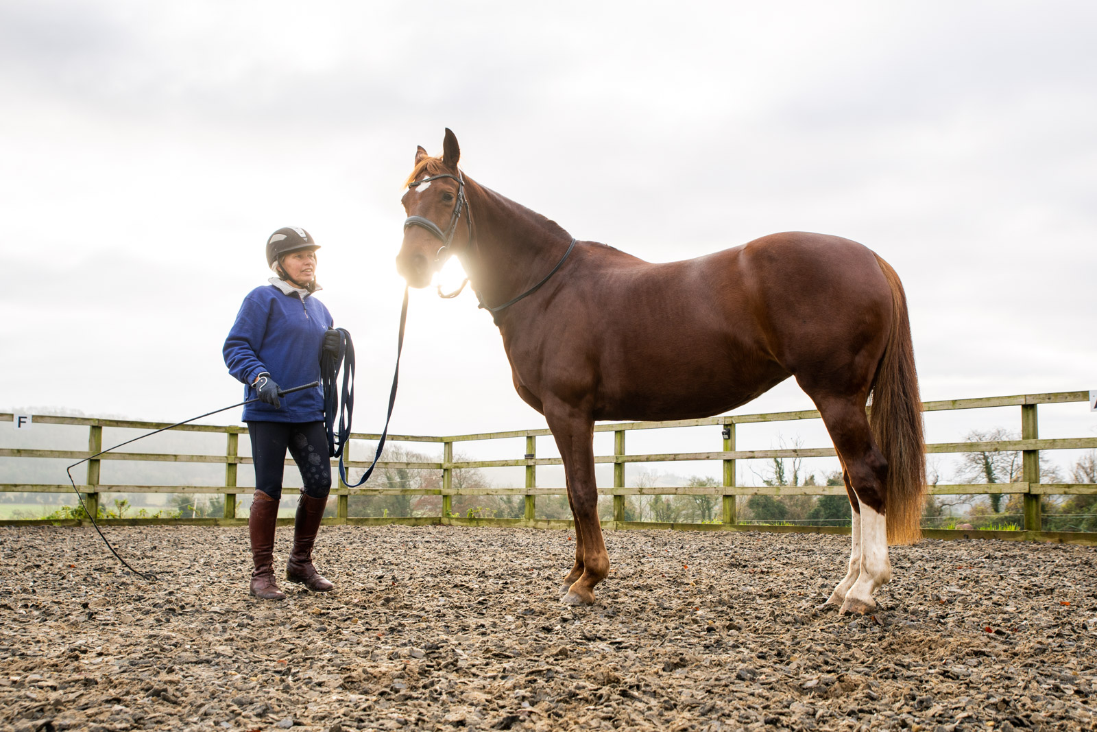 Equivet (Web)-00245