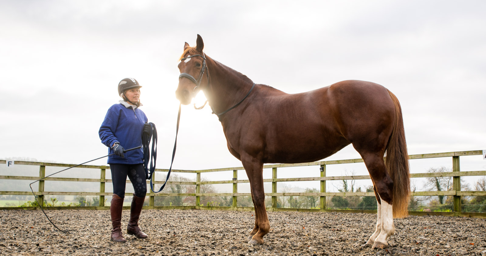 Equivet (Web)-00245_edited