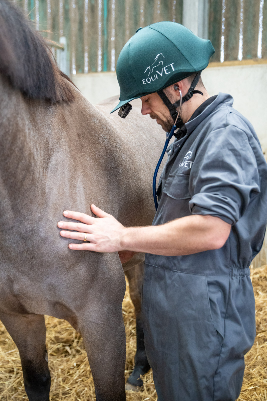 Equivet (Web)-00627